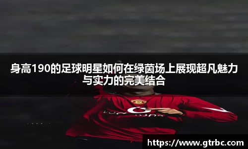 身高190的足球明星如何在绿茵场上展现超凡魅力与实力的完美结合