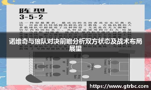 诺维奇与狼队对决前瞻分析双方状态及战术布局展望